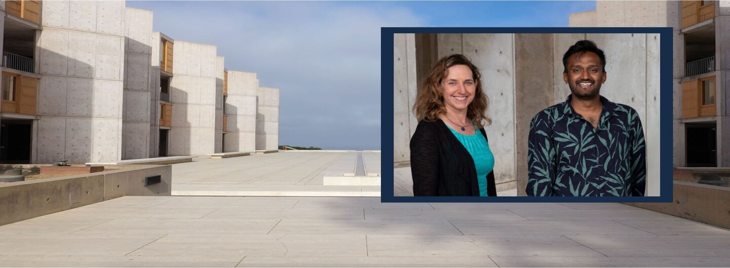 Image of professors at salk